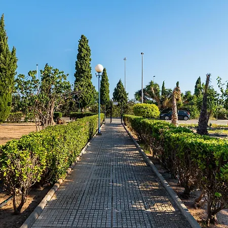 The Lemon Tree House Torrevieja Exterior photo