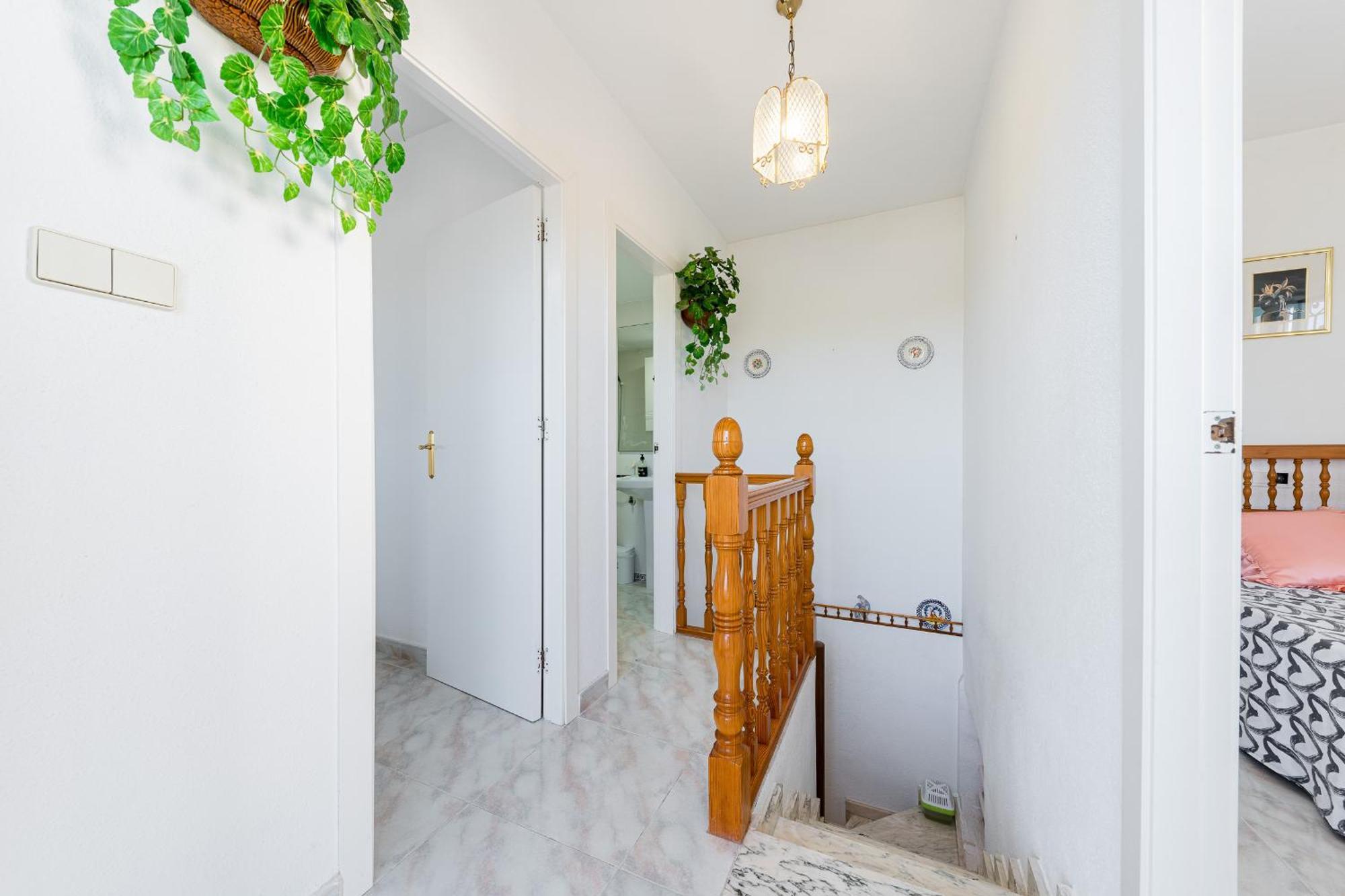 The Lemon Tree House *